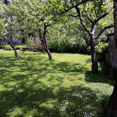 Apartma Rutar Tolmin Esterno foto