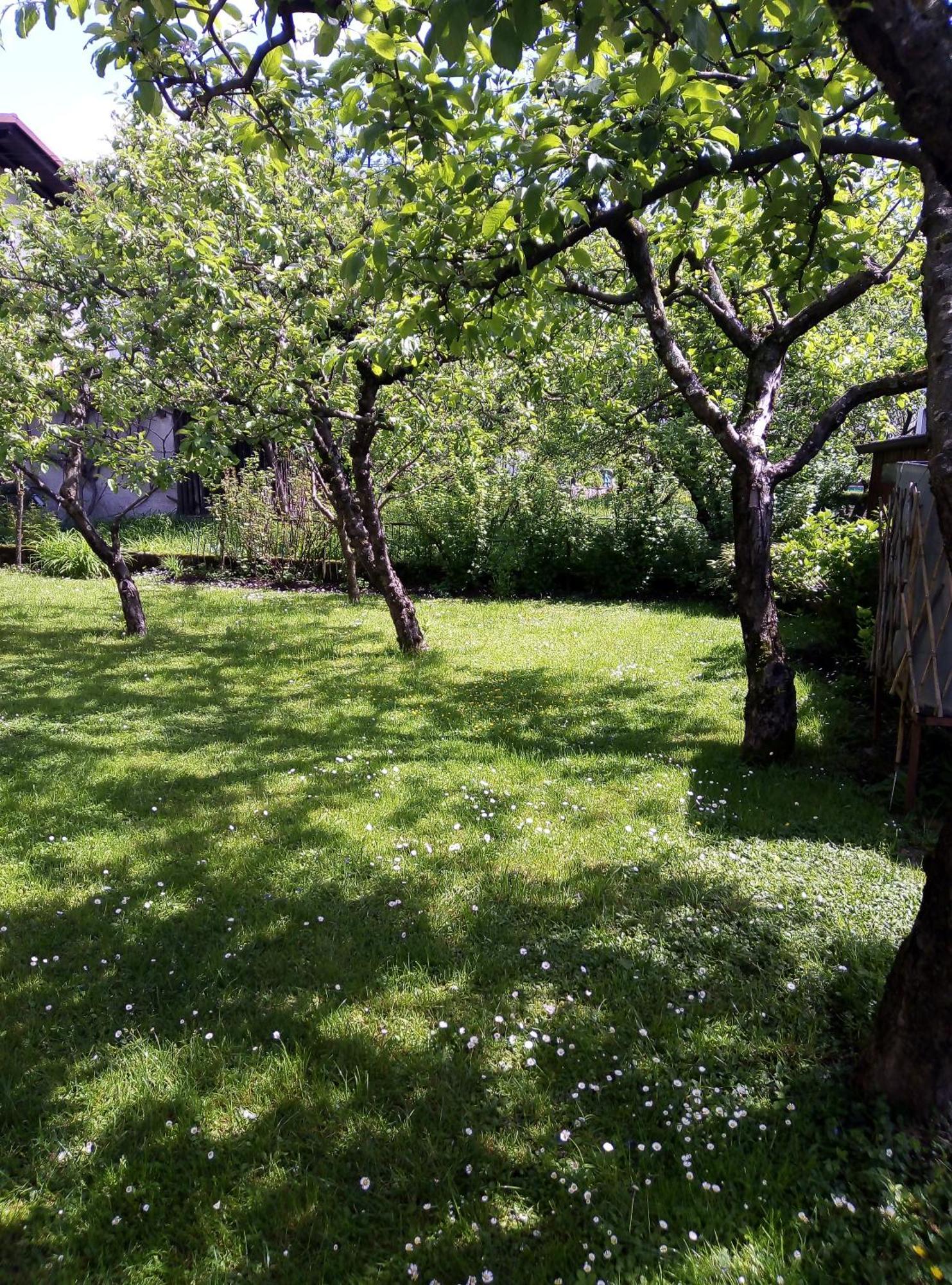 Apartma Rutar Tolmin Esterno foto
